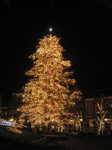 �n�E�X�e���{�X26