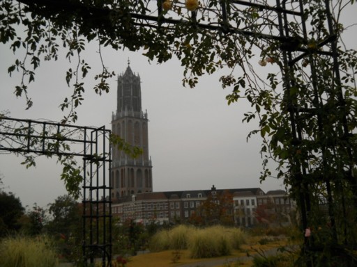 �n�E�X�e���{�X40