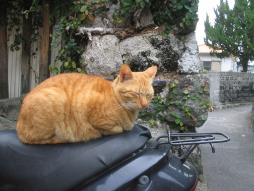 �l�R����