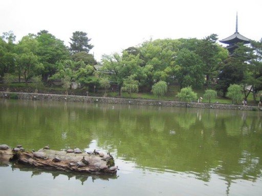 ����r - �T�ƌ܏d��