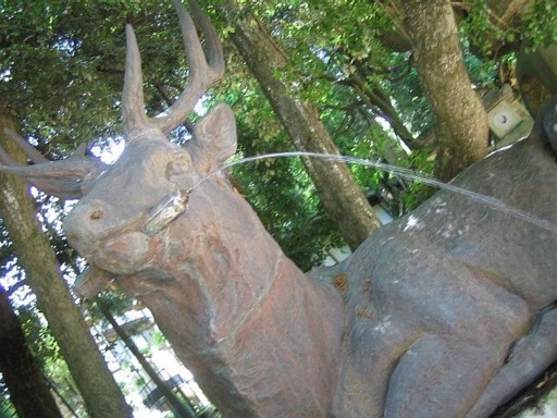 �ޗǃz�e�� - �t�����5