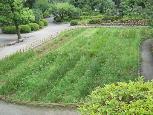 ���c����5