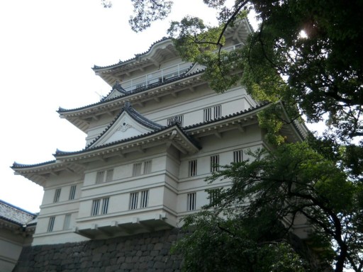 ���c����6