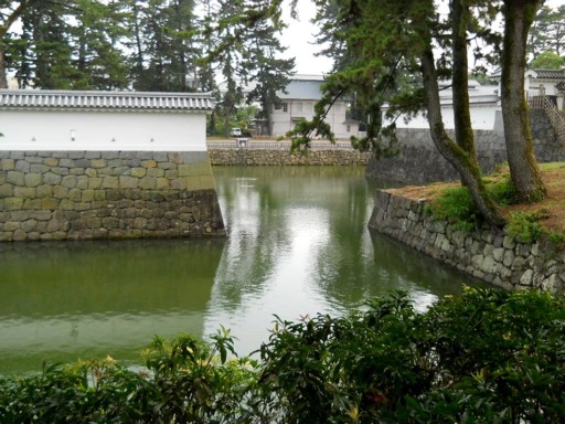 ���c����8