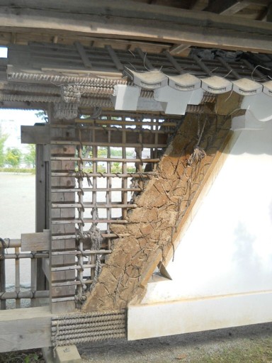 ���c����11