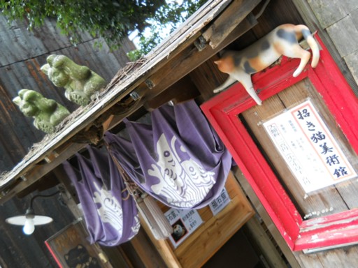 �����L���p��1