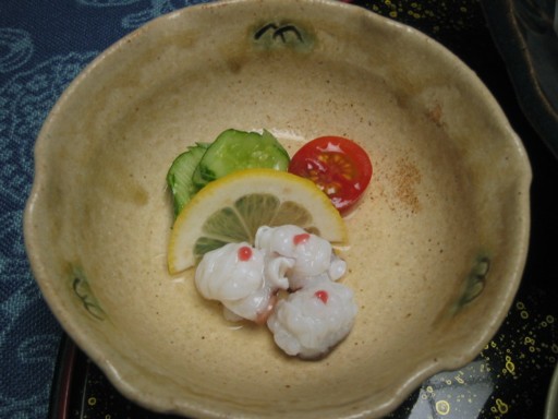 ���R�ʊ�20