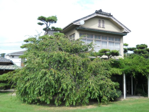 ���R�ʊ�28