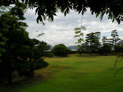 ���R�ʊ�30