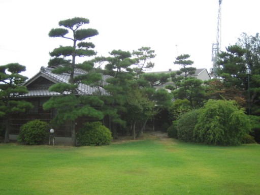 ���R�ʊ�33