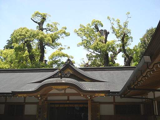 �ɐ��_�{ �O�{4