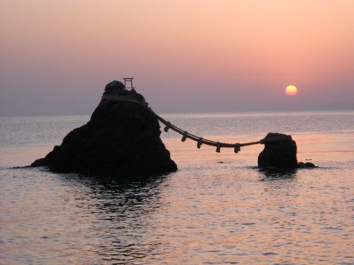 �v�w��̒���4