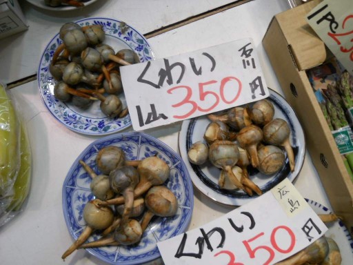 ����E�ߍ]���s��2