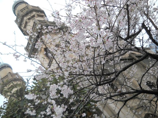 �C�X�������@