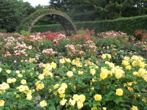 �C�l����5