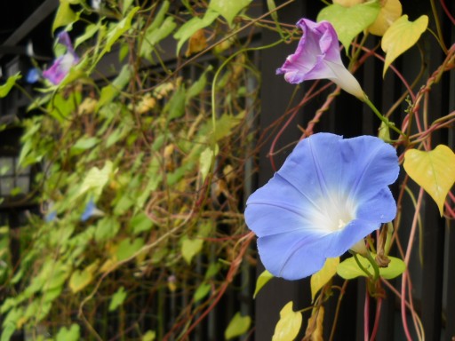 ���R�E�ۑ��n��3