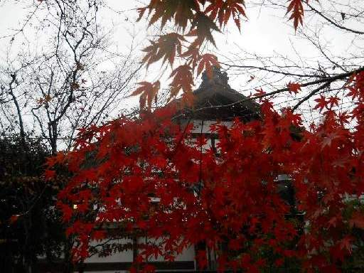 �R�z�@�E�g�t2