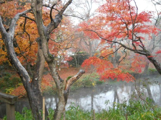 �R�z�@�E�g�t3