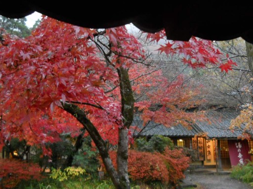 �R�z�@�E�g�t1