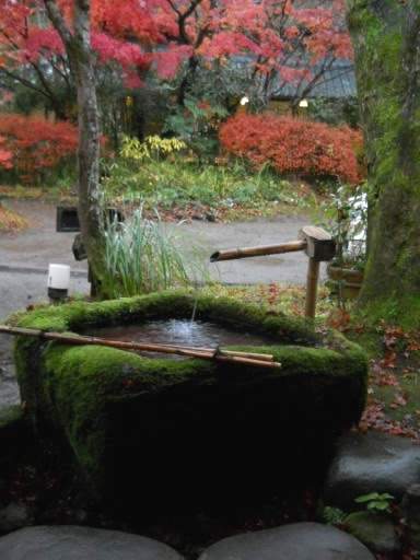 �R�z�@�E�g�t16