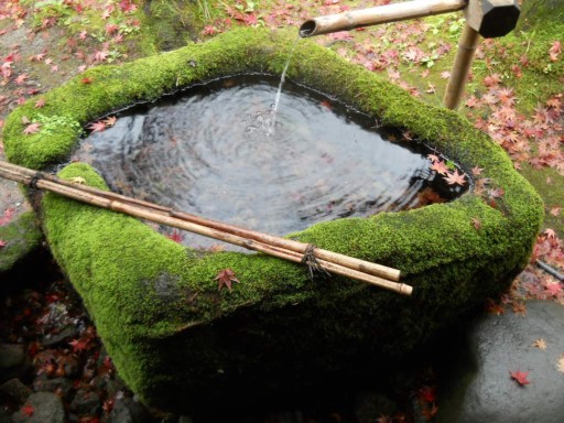 �R�z�@�E�T�̈�ʑ�2