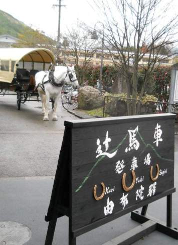 �R�z�@�E�R�z�@�w1