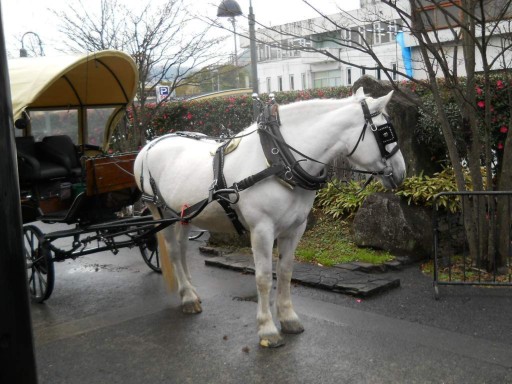 �R�z�@�E�R�z�@�w2