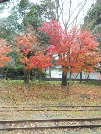 �R�z�@�E�R�z�@�w3