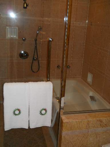 ���˃v���U�z�e��8