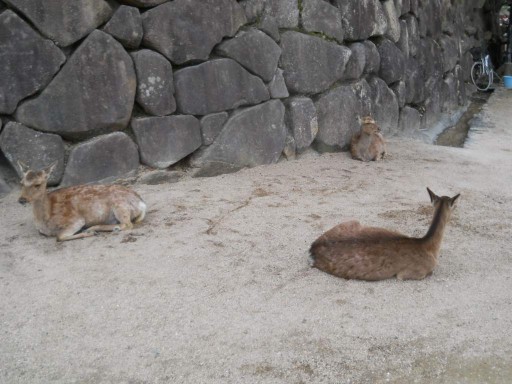 �����_��1