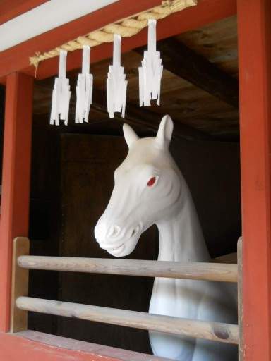 �����_��9