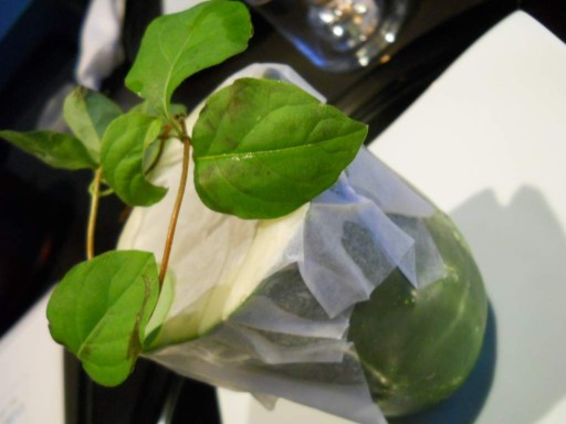 �ׂɂ△�L�̗[�H No.5