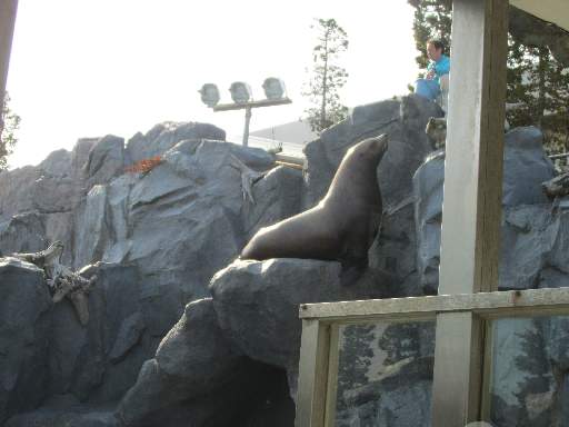 ���H������1