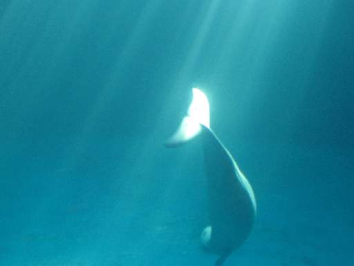 ���H������8