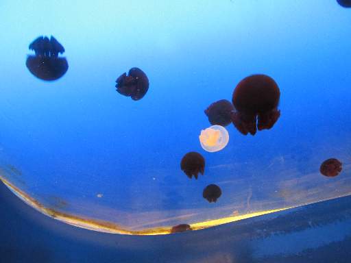 ���H������12