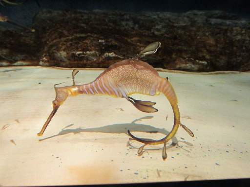 ���H������13