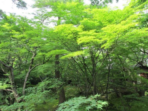 �ׂɂ△���L2