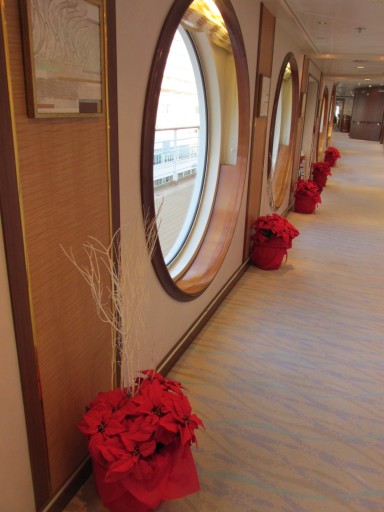 �ʕ{�ԉ΃N���[�Y �ۑ�