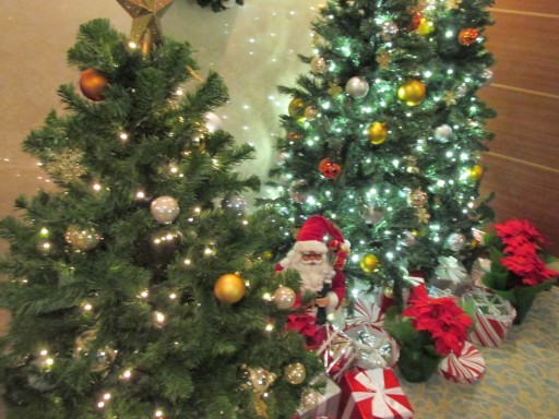 �ʕ{�ԉ΃N���[�Y �N���X�}�X7