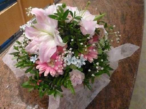 ���v���N���[�Y117