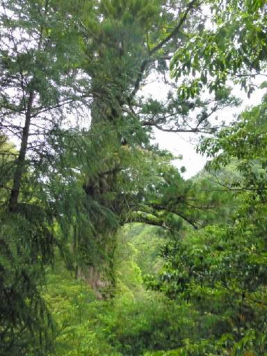 ���v���N���[�Y120