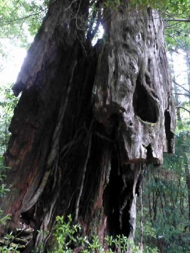 ���v���N���[�Y121