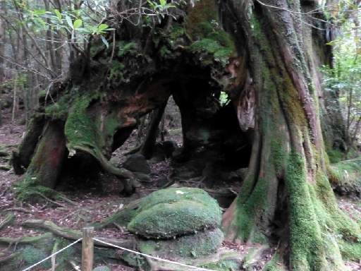 ���v���N���[�Y124