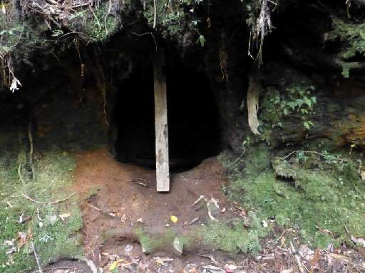 ���v���N���[�Y125