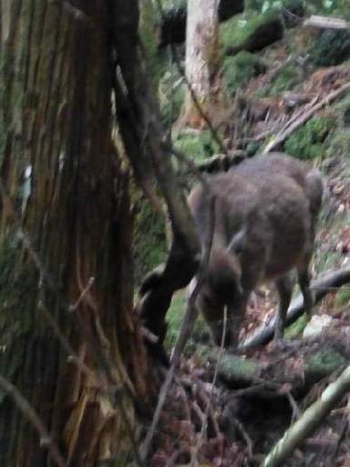 ���v���N���[�Y126