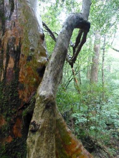 ���v���N���[�Y129