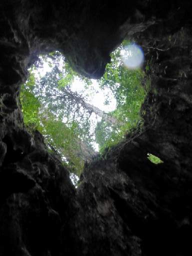 ���v���N���[�Y132