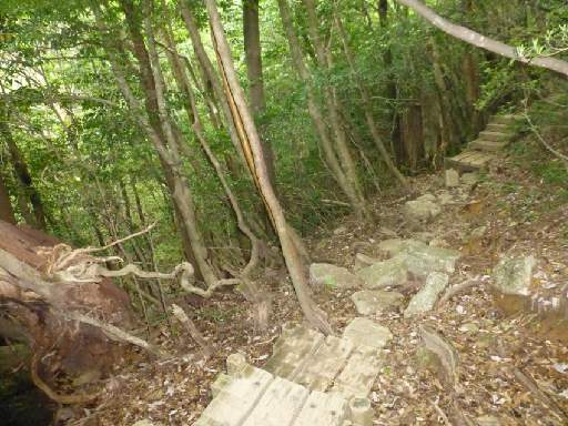 ���v���N���[�Y133