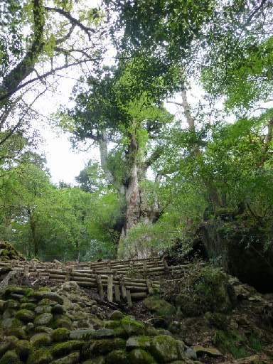 ���v���N���[�Y139