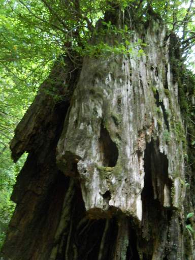 ���v���N���[�Y76